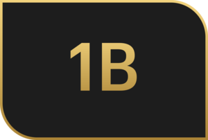 1B